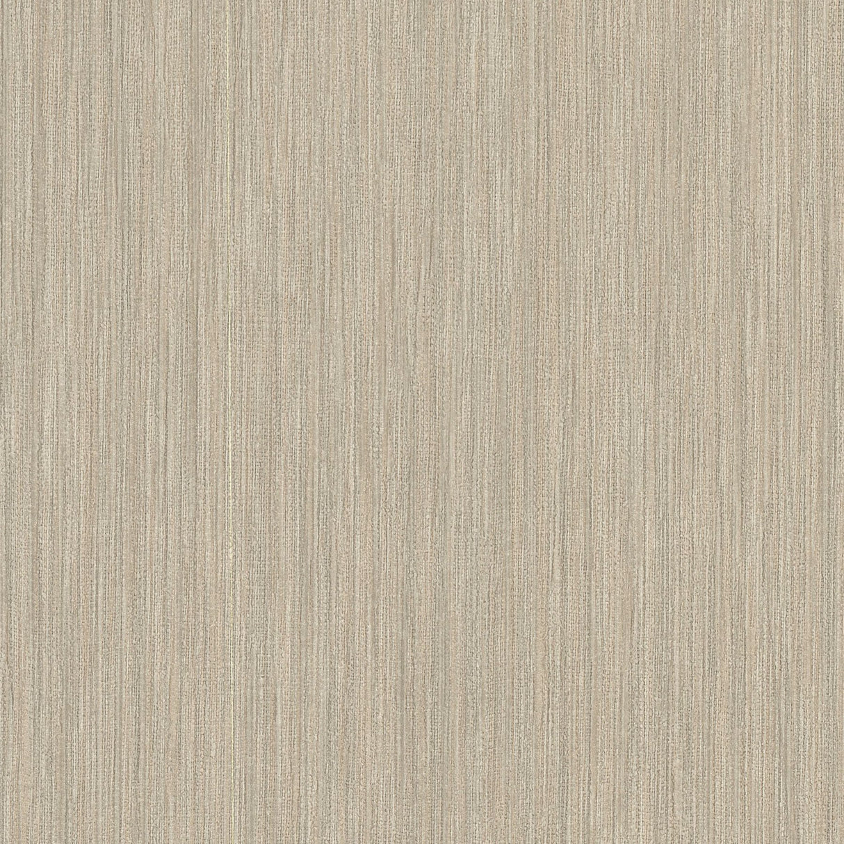 Soft Rain Sand Textured Modern Wallpaper - York SI24617