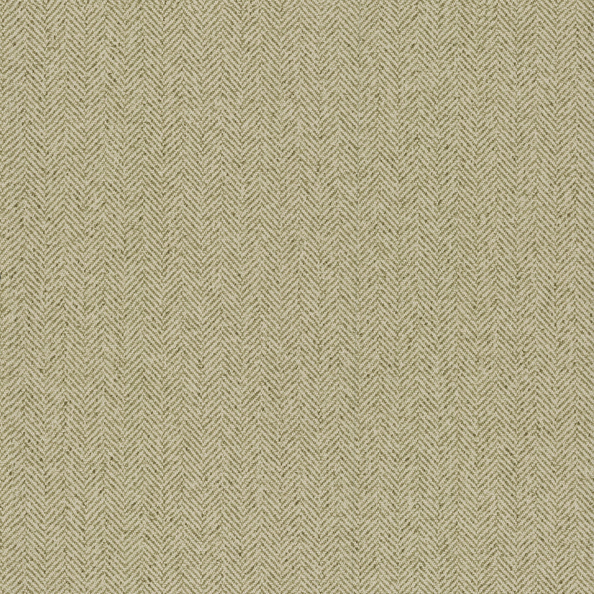 Tailored Chevron Green wallpaper by York Wallcoverings – sample closeup