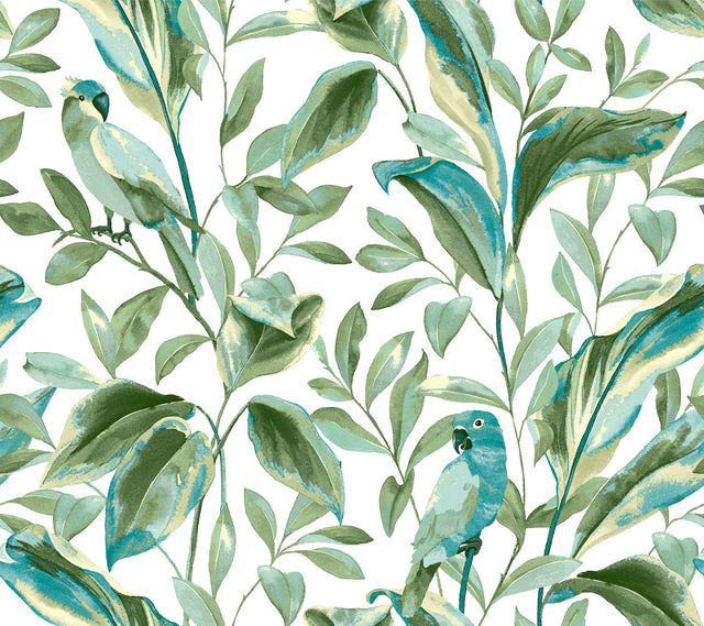 Tropical Love Birds White & Aqua Wallpaper with Botanical Parrot Motif - York TC2654