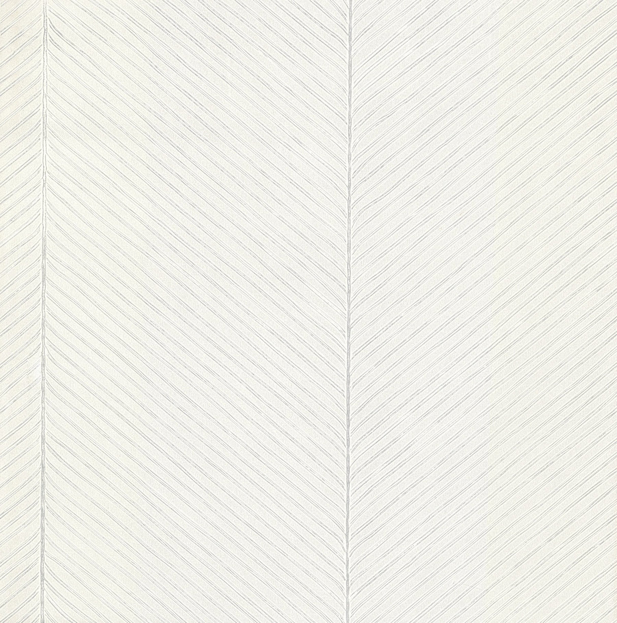 Palm Chevron White & Silver Wallpaper with Textured Palm Leaf Chevron Pattern - York TC2692