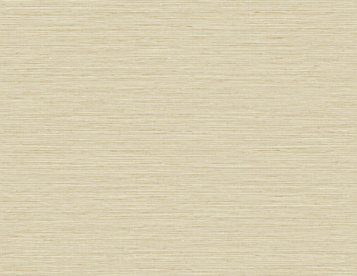 Edmond Faux Sisal Barley by Tedlar Textures Faux Grasscloth Wallpaper – DuPont TG60338 -Sample