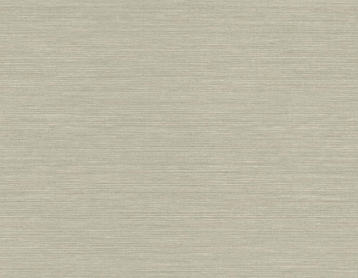 Seawave Sisal wallpaper in Yerba by Seabrook Designs (TS82035)