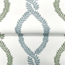 Laureate Light Green by Antonina Vella Vine Trellis Wallpaper – York Designer Series VP1321