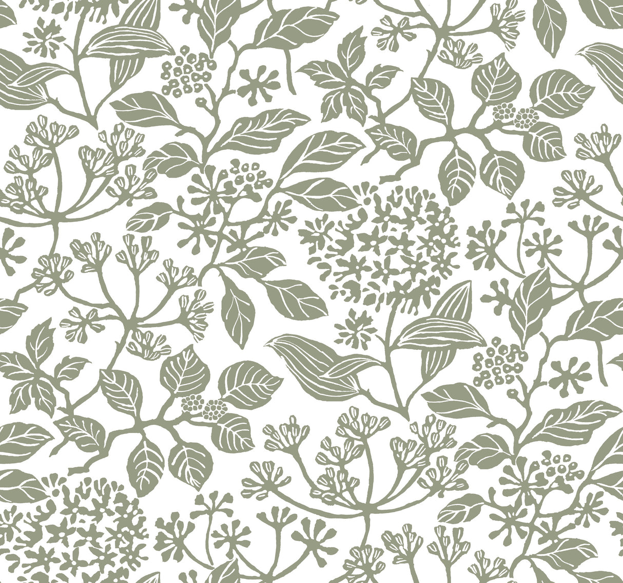 Rowen Olive Botanical Wallpaper by Antonina Vella