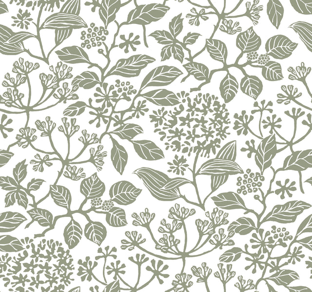 Rowen Olive Botanical Wallpaper by Antonina Vella