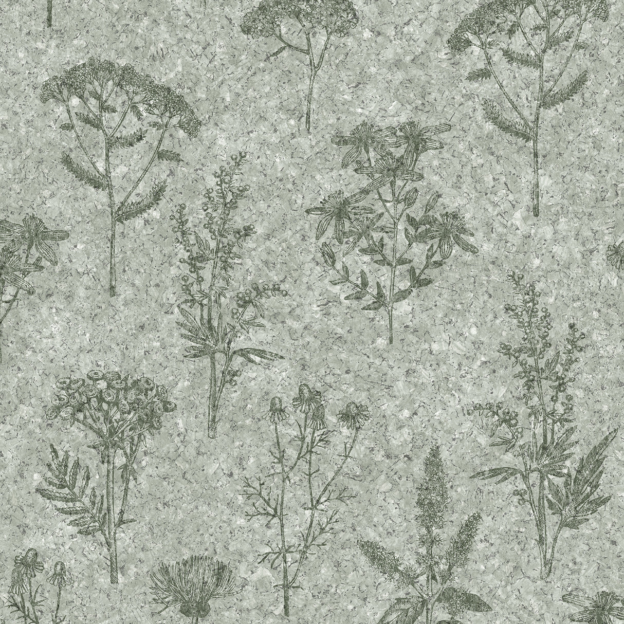 Herbarium Hues sage green cork texture wallpaper with botanical herb illustrations