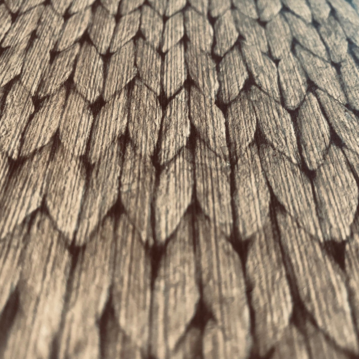 Wicker Weave Taupe by Veer Decor Textured Vinyl Wallpaper – Veer Decor VRBR08-487