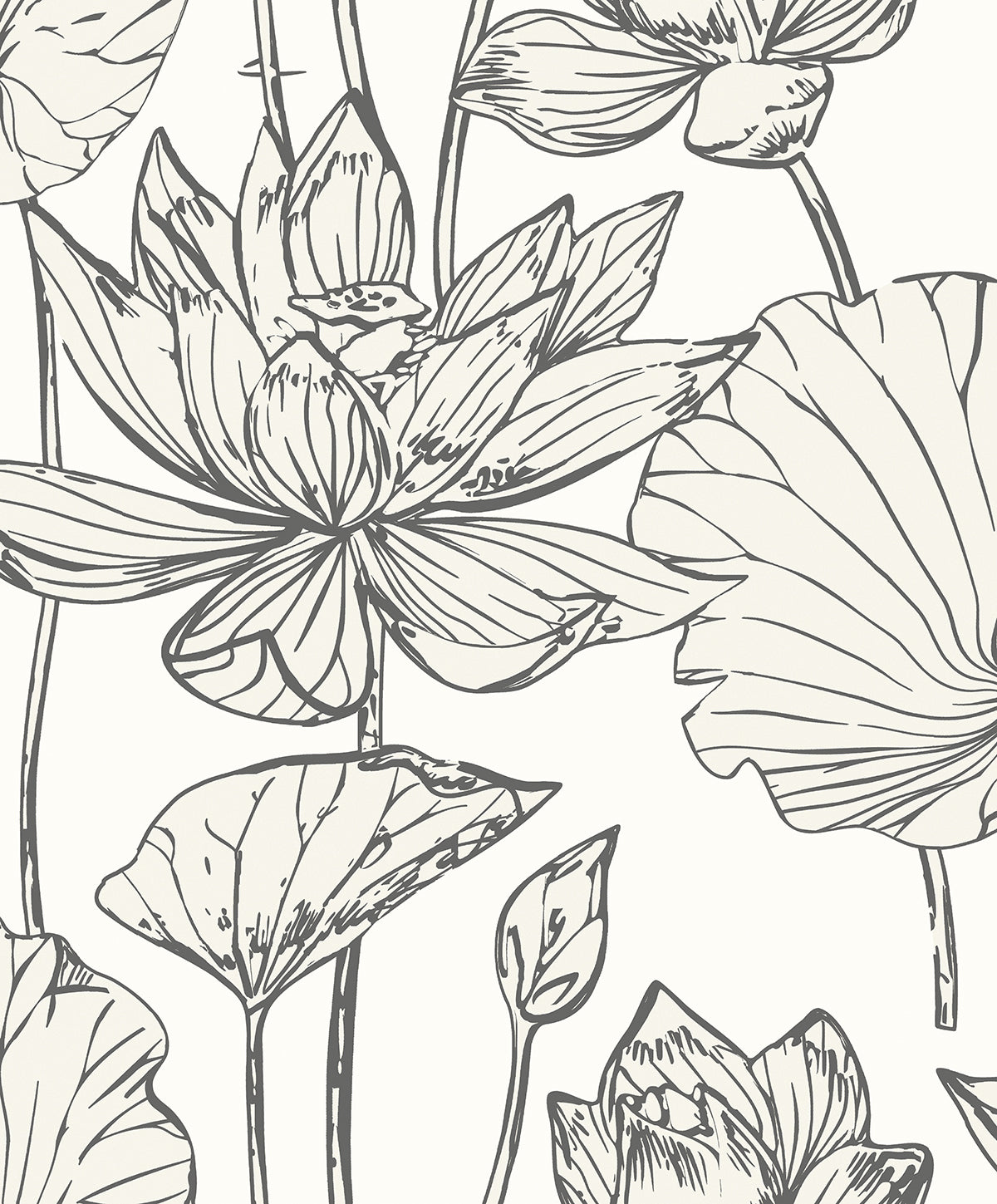 Viola Floral wallpaper in Metallic Ivory & Ash featuring large-scale line-drawn florals on an ivory ground.