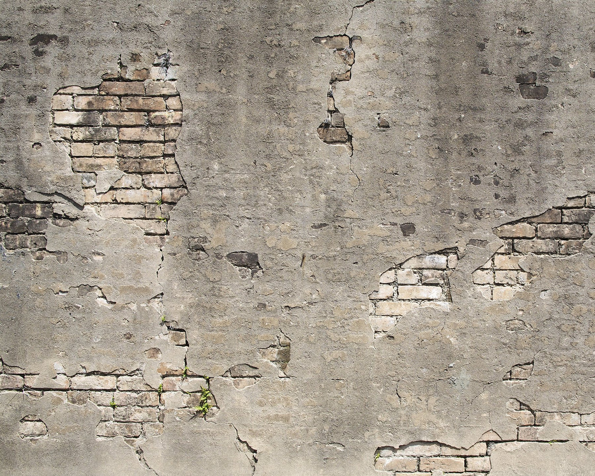 Broken Concrete Grey Faux Effects Industrial Wall Mural - Wall Rogues WR50520