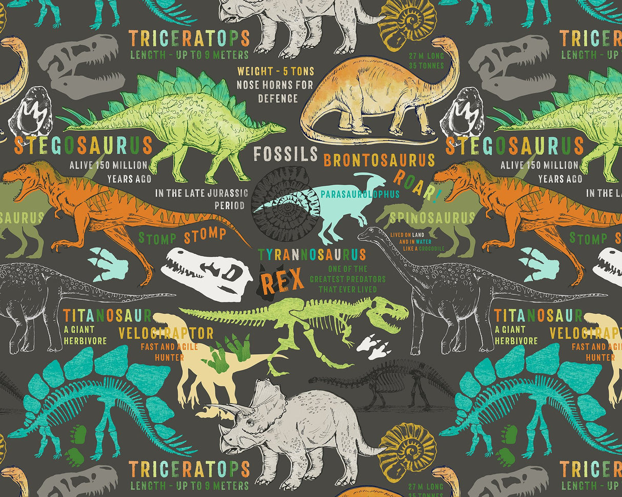 Dinosaurs Brown Graphics Kids Non Woven Wall Mural - Wall Rogues WR50587