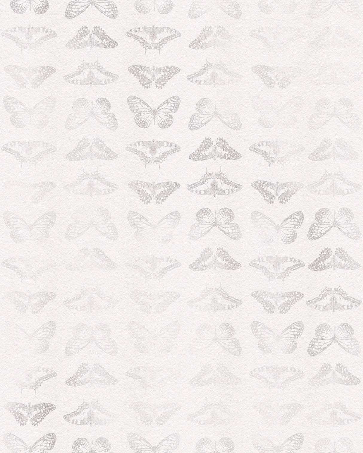 Mur de Papillons Grey Non Woven Wall Mural with Whimsical Butterfly Pattern - Komar X4-1076