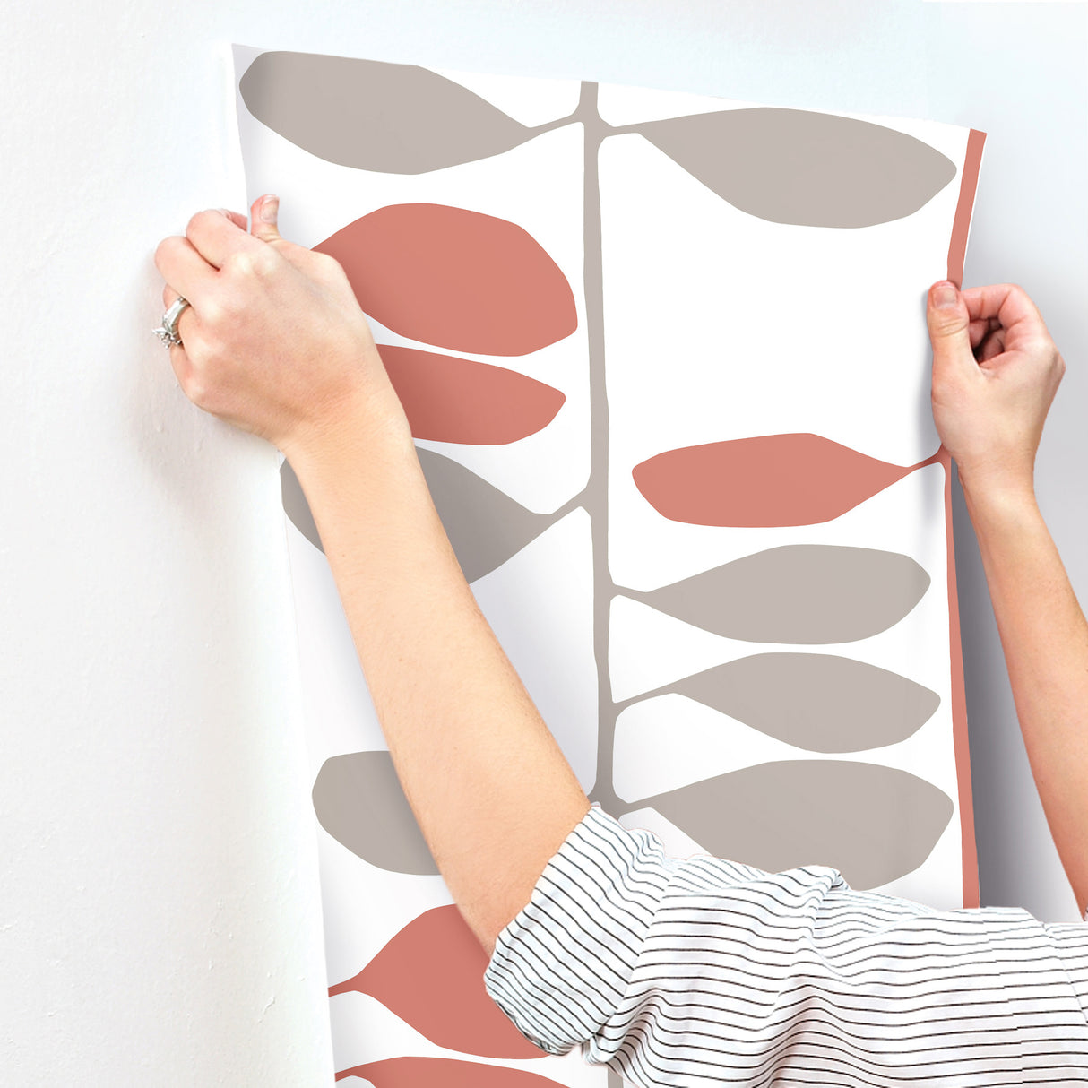Sculpted Vines Vermillion & Graphite by York Wallcoverings Modern Botanical Wallpaper – York Wallcoverings ZM2802