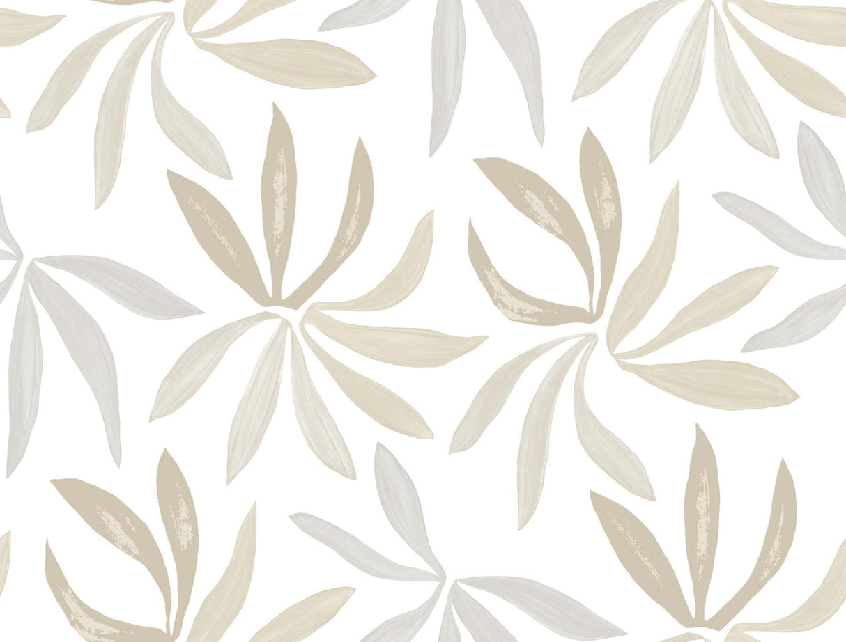 York Wallcoverings Little Garden Neutral & Pearl Wallpaper ZM2815 swatch showing palm leaf pattern