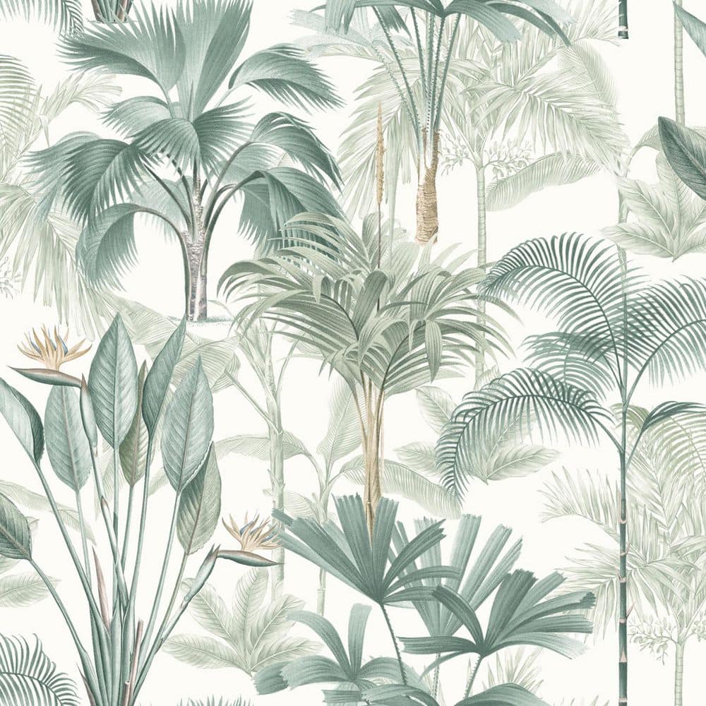 Freda Green Palm Trees wallpaper pattern in cool green tones