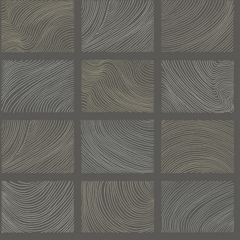 Bronson Slate Topography Wallpaper by A-Street Prints