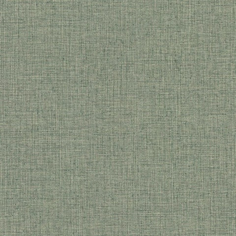 Clarkson Green Woven Wallpaper texture, 4174-4619