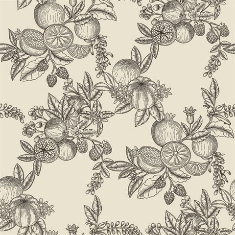 Gerty Black Fruit Toile Wallpaper by A-Street Prints