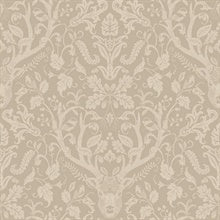 Kiwassa Light Brown by Chesapeake Antler Damask Wallpaper – Brewster 4169-12705