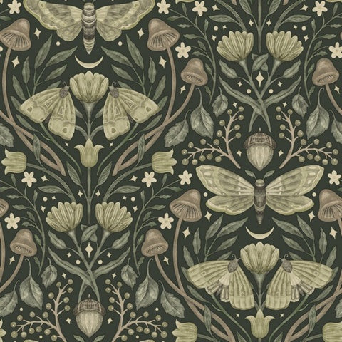 Mystic Moth Dark Green Forest Magic Wallpaper by Chesapeake