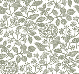 Rowen Olive Botanical Wallpaper by Antonina Vella