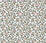 Framboise Blush Berry Vines Wallpaper – VP1414