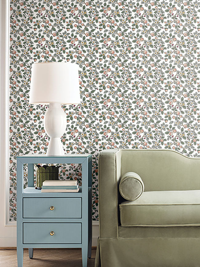 Framboise Blush by Antonina Vella Berry Vines Wallpaper – York Designer Series VP1414