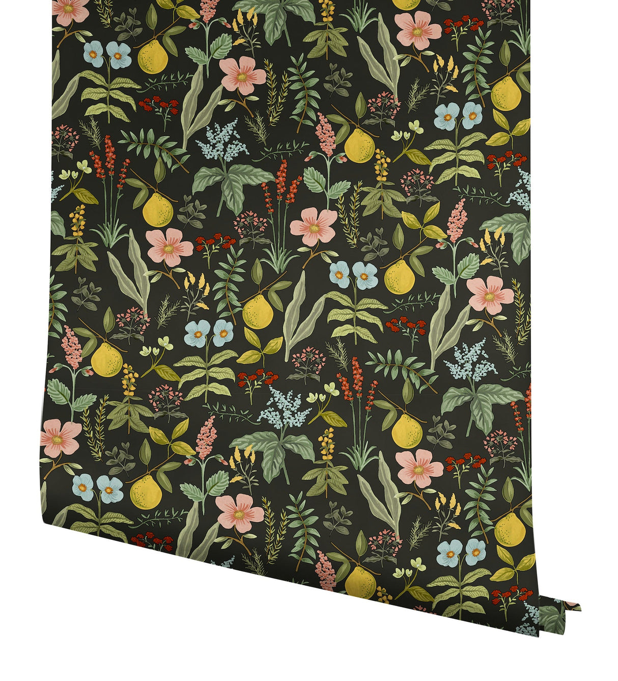 Herb Garden Black by Rifle Paper Co. Botanical Premium Peel & Stick Wallpaper – York Wallcoverings PSW1676RL