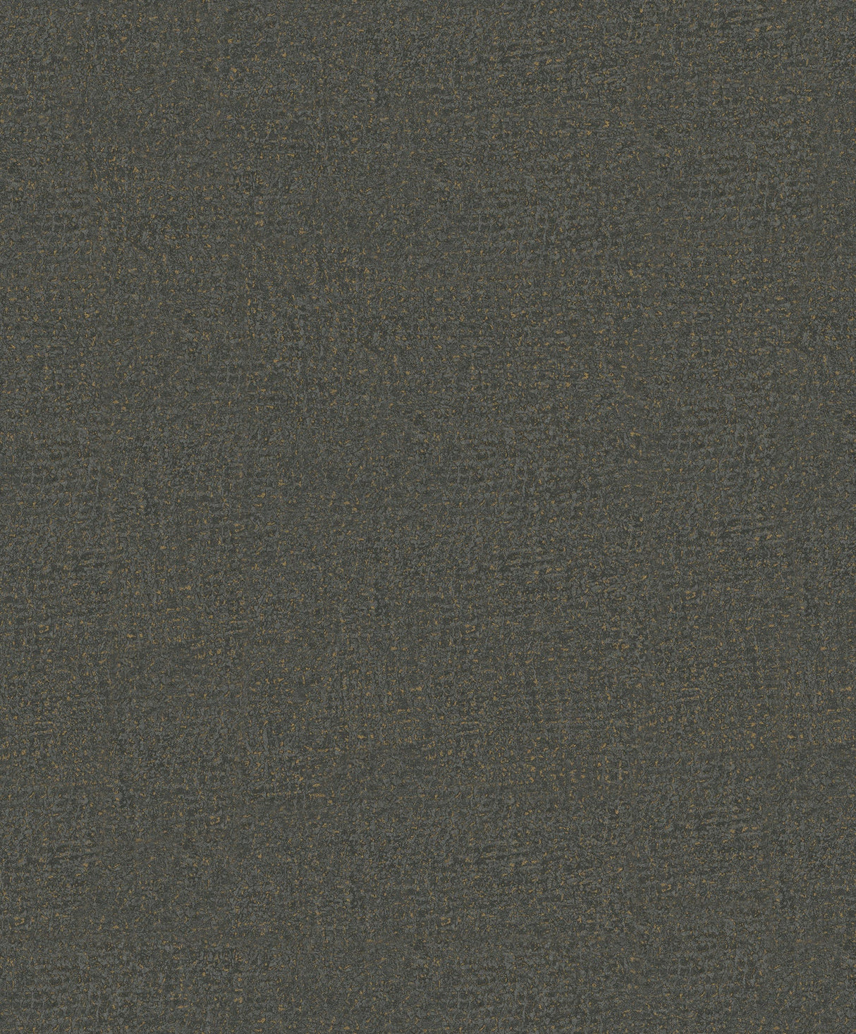 Antonina Vella Garden Stone Charcoal Textured Wallpaper MA35520 roll and room view