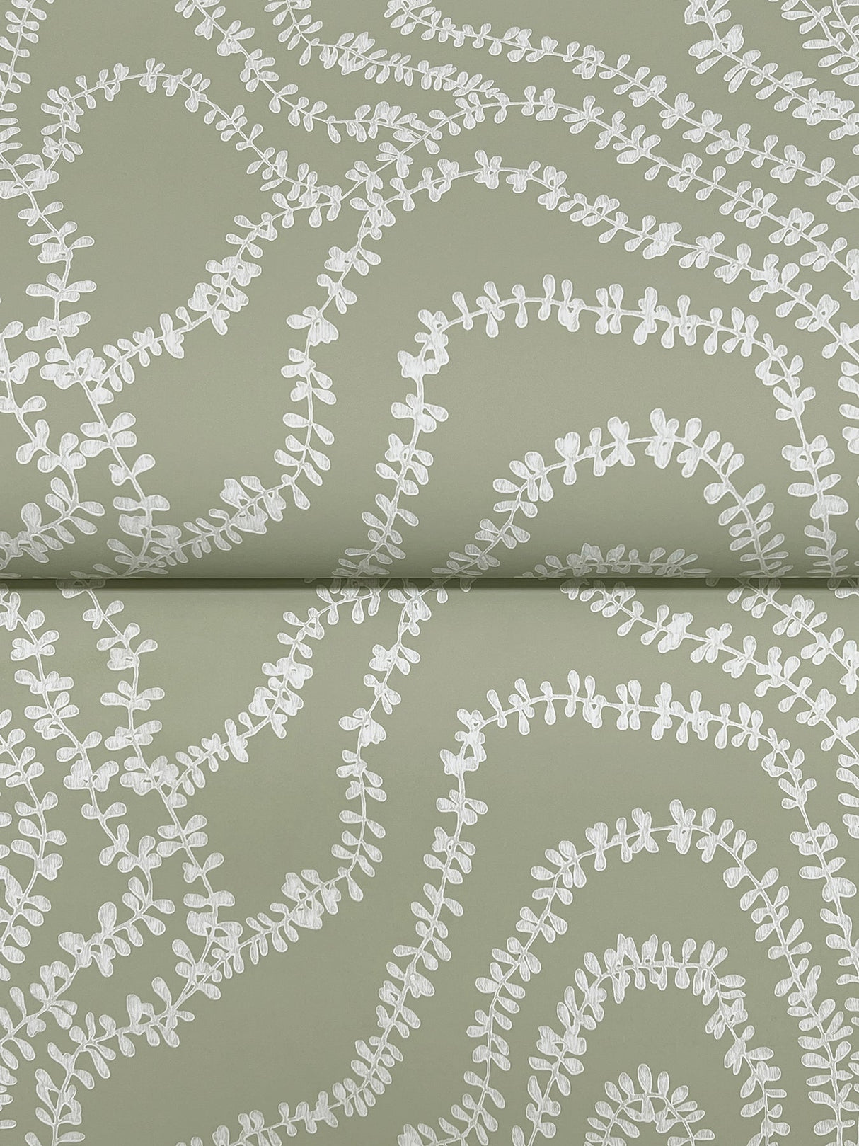 String of Pearls Sage by Ronald Redding Vine Wallpaper – York Designer Series VR1513