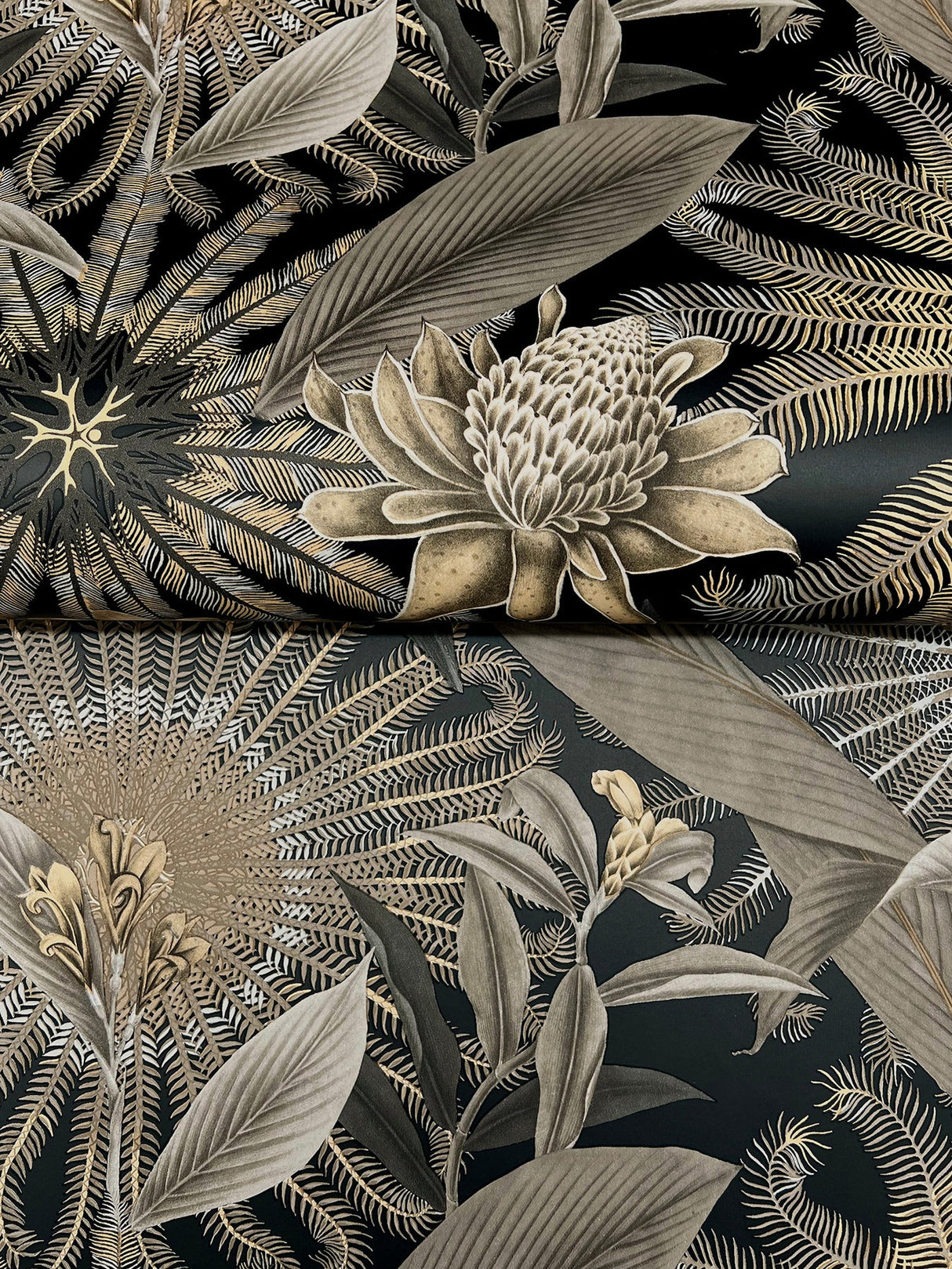 Enchanted Garden Black by Ronald Redding Tropical Wallpaper- York Designer Series VR1531
