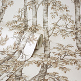 Bastian Neutral by Fine Decor Trees Wallpaper – Brewster Home Fashions FD43343