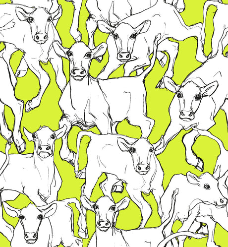 Iltavilli wallpaper in lime green and cream with illustrated cows