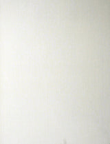 Gael Paintable Stucco White Wallpaper by Brewster 148-96293
