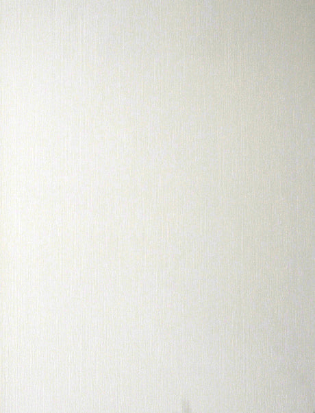 Gael Paintable Stucco White Wallpaper by Brewster 148-96293