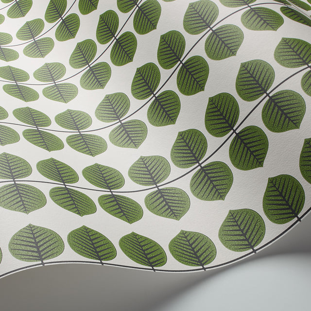 Berså Leaf by Boråstapeter Green Wallpaper – Schumacher 1750