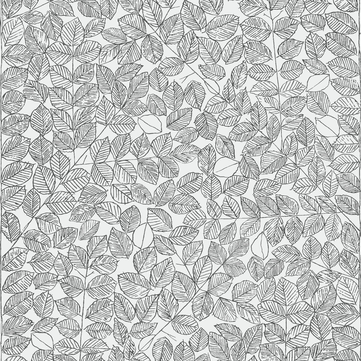 Romans black leaf sketch wallpaper by Boråstapeter for Schumacher, designed by Viola Gråsten, shown in a modern dining room setting.