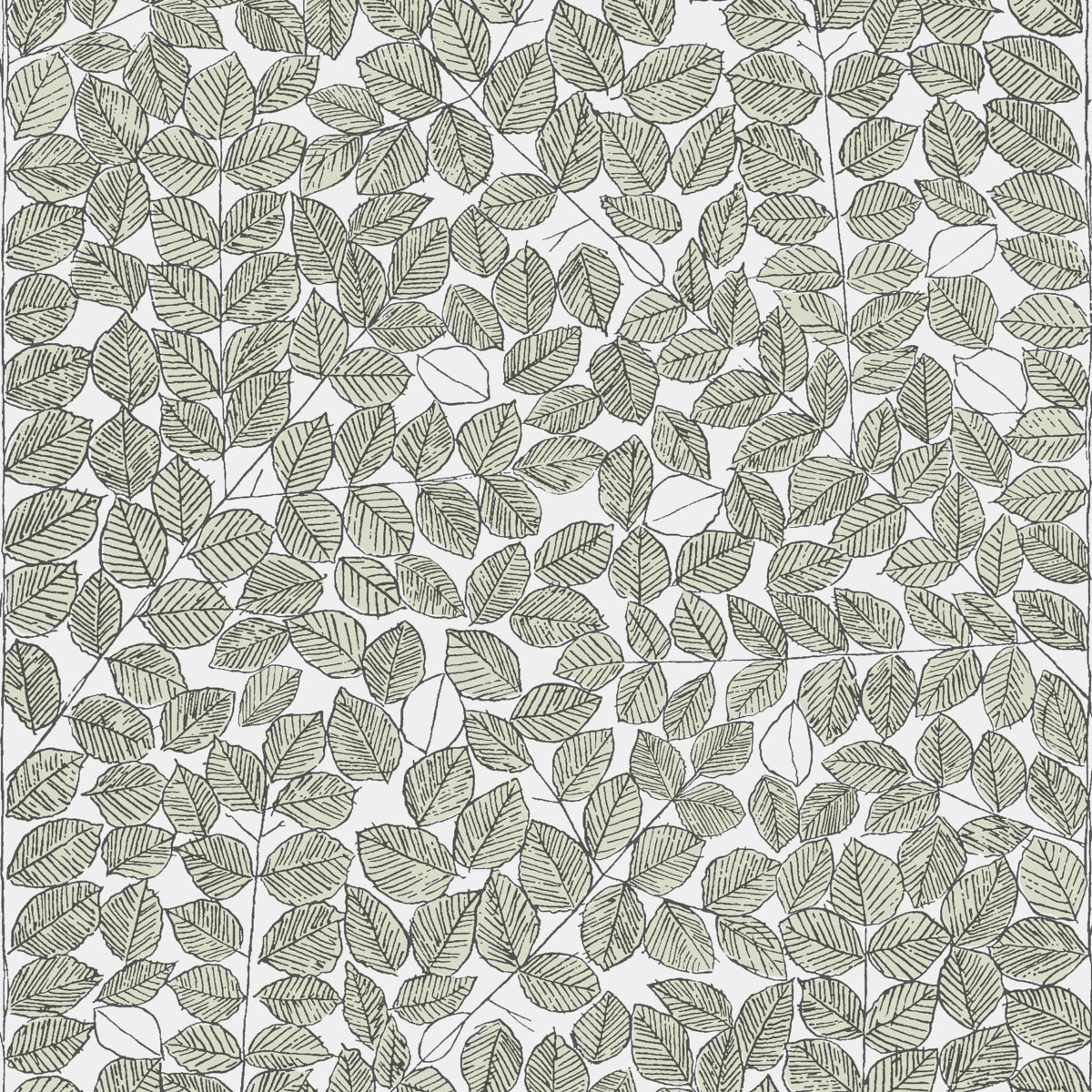 Romans Leaf wallpaper by Boråstapeter for Schumacher, designed by Viola Gråsten, featuring a leafy sketch pattern in green tones.