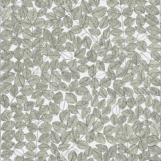 Romans Leaf wallpaper by Boråstapeter for Schumacher, designed by Viola Gråsten, featuring a leafy sketch pattern in green tones.
