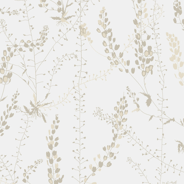 Bladranker wallpaper in natural colorway by Boråstapeter for Schumacher, featuring plant-inspired Scandinavian design with grasses, thistles, and vines.