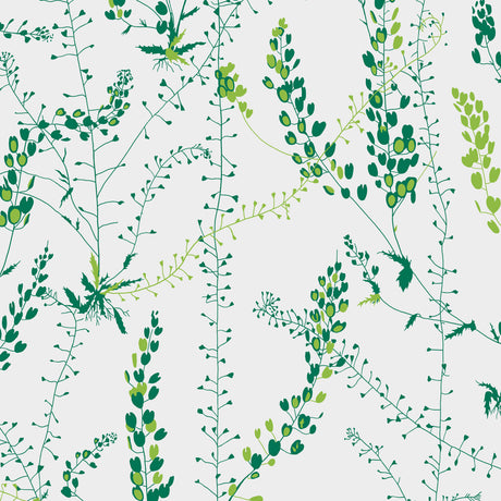 Bladranker Leaf wallpaper by Boråstapeter for Schumacher, featuring green botanical plant-inspired design on a white background.