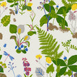 TROLLSLÄNDA wallpaper by Boråstapeter for Schumacher, featuring whimsical wildflowers and ferns in a multicolored botanical design.