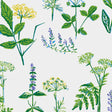 Köksväxter Leaf by Boråstapeter botanical wildflower wallpaper in green, yellow, and purple on white background
