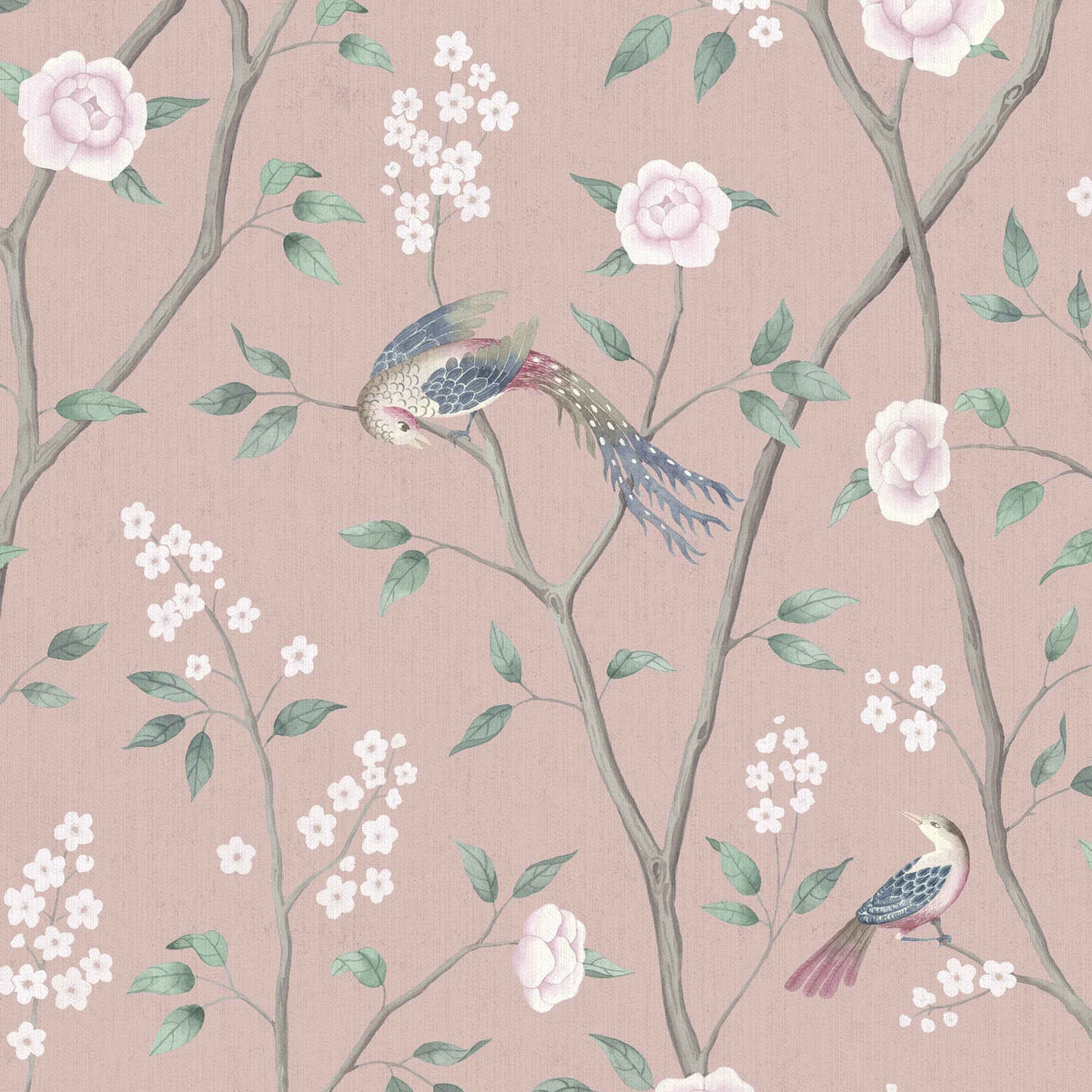 Paradise Birds wallpaper in Blush Shimmer by Boråstapeter for Schumacher, featuring birds and floral branches on a pink background.