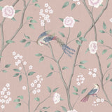 Paradise Birds wallpaper in Blush Shimmer by Boråstapeter for Schumacher, featuring birds and floral branches on a pink background.