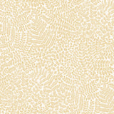 Bladverk Sand botanical wallpaper by Boråstapeter for Schumacher, shown in a Scandinavian-inspired living room setting.