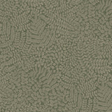 Bladverk Spruce by Boråstapeter - Delicate midcentury modern botanical wallpaper in green with intricate leaf pattern, styled in a dining room setting.