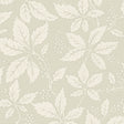 Vildvin Leaf wallpaper by Boråstapeter for Schumacher, featuring a botanical Virginia vine pattern in a soft neutral colorway.