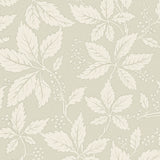 Vildvin Leaf wallpaper by Boråstapeter for Schumacher, featuring a botanical Virginia vine pattern in a soft neutral colorway.