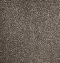 Etten Studios Mica Texture wallpaper in Coal & Silver Glitter with metallic abstract texture