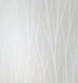 Birch Trail wallpaper in metallic pearl and glitter with white birch tree silhouettes on an off-white background.